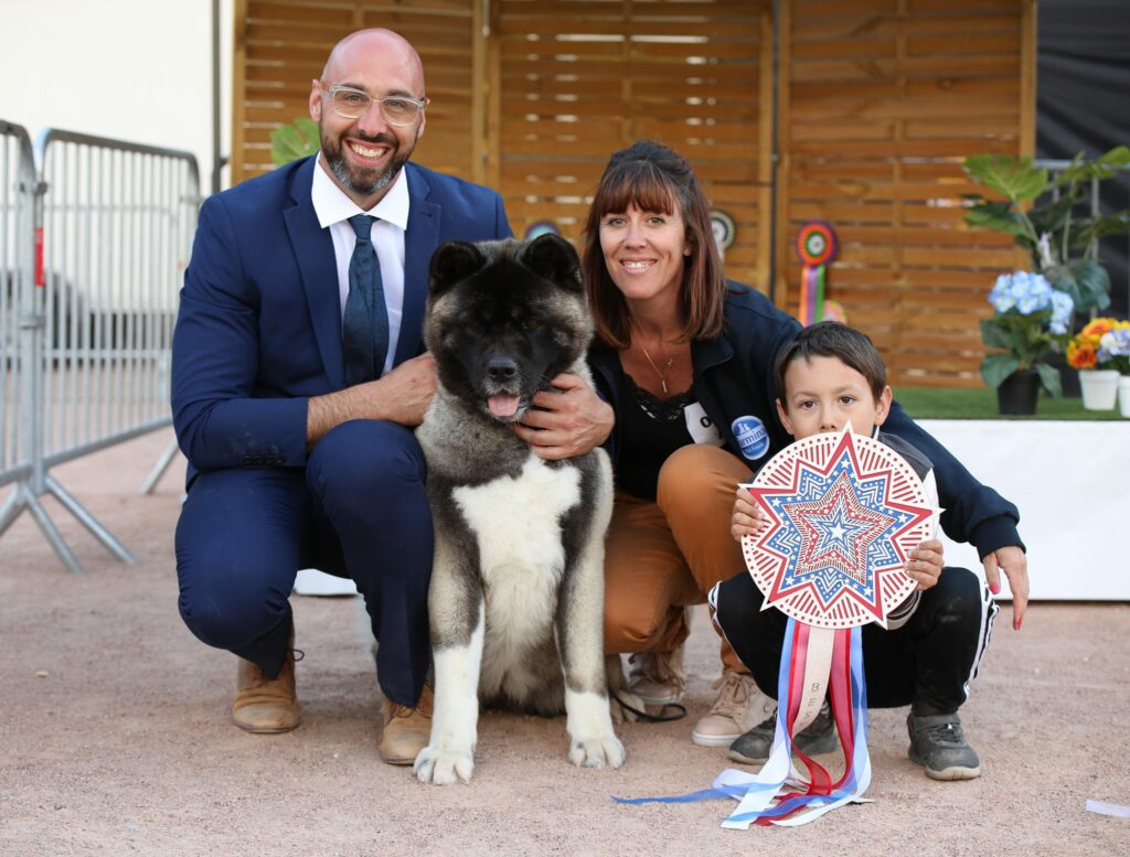 passion akita americain famille